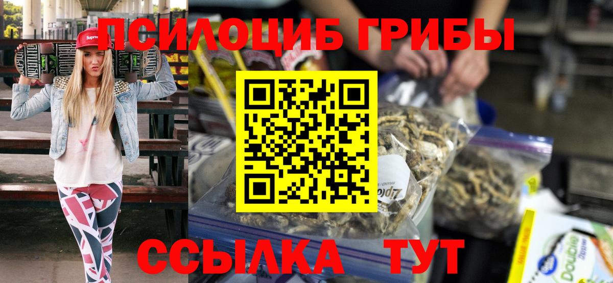 Арсеньев  купить закладку  Вход с VPN  Псилоцибиновые грибы Psilocybine cubensis 