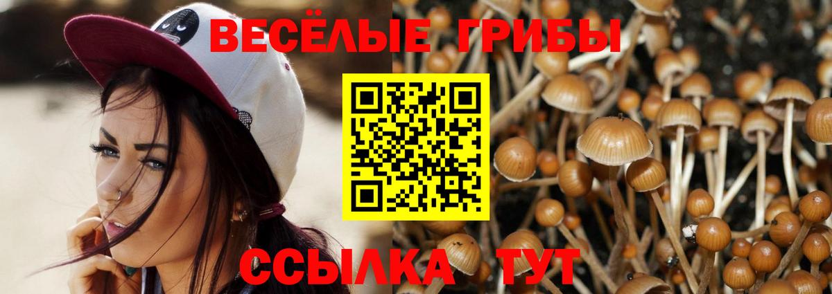 Псилоцибиновые грибы прущие грибы Арсеньев